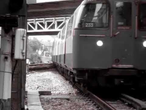 Andrea Ferlin - Summia