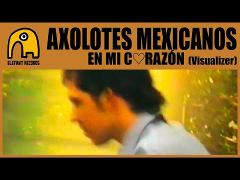 AXOLOTES MEXICANOS - en mi c♡razón [Visualizer]