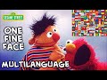 Sesame Street One Fine Face Multilanguage