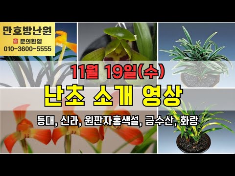 유튜브 썸네일