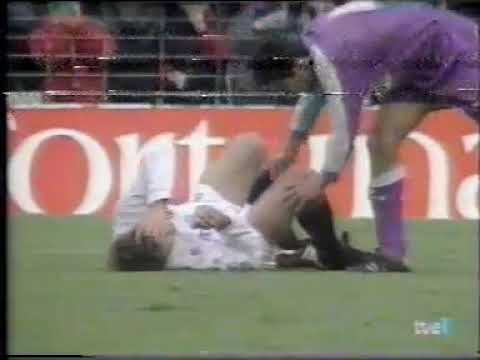 Temp 94-95 Jornada 25 Valencia CF 3 - 0 Real Valladolid