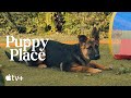 Puppy Place — Scout the German Shepherd | Apple TV+