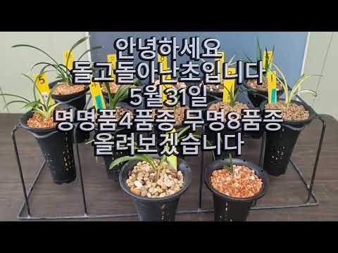 유튜브 썸네일