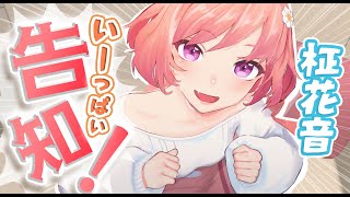 【柾花音】い～っぱい告知！【3D生配信】