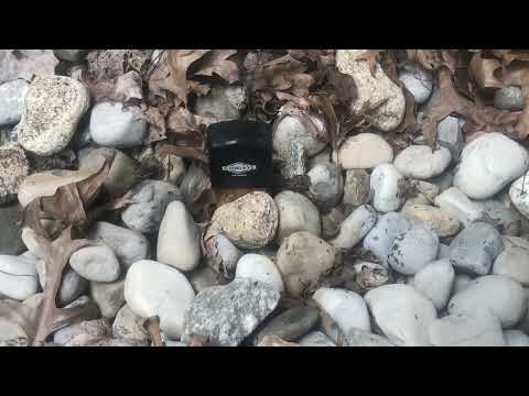 Ant Colony Located Underneath Our Termite Monitors in Old Bridge, NJ