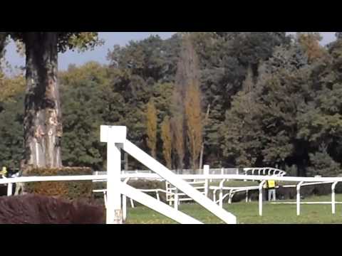 123. Velká Pardubická dostih