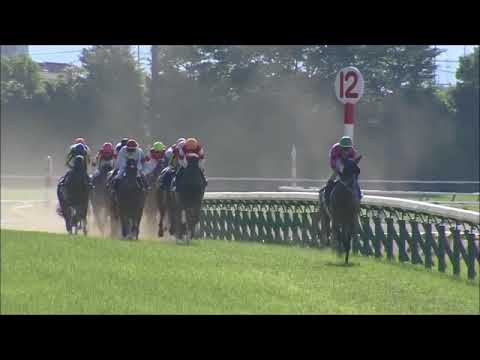 Yushun Himba (Japanese Oaks) 2018 (G1)  Almond Eye