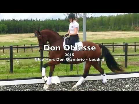 Don Oblesse -15 e. Blue Hors Don Olymbrio - Loudini