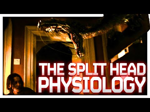 Can UNHINGE JAW And DEVOURS HUMANS | Arcadian Explained