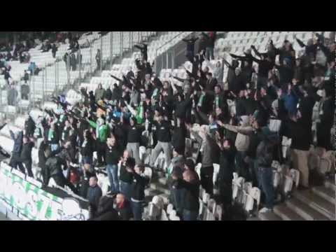 Cracovia vs. Okocimski Brzesko: Doping kibiców