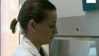 Prueba sanguínea permite conocer sexo del bebé en octava semana.