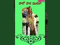 Adi Krithika Srikalahasti Trending Reel Subscribe