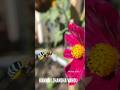 Ilamai Enum Poongatru Whatsapp Status 80s Love Status Evergreen Love Status Tamil Love Status