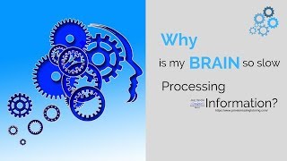 Why is my brain so slow at processing information?