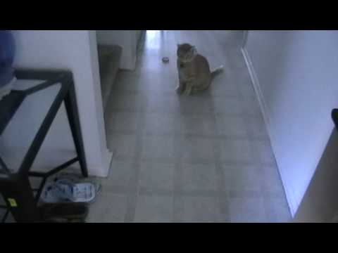 sleeping like a frog?