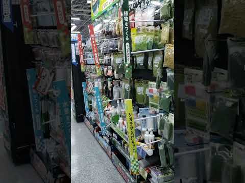 Osaka hobby shops 2   first train store