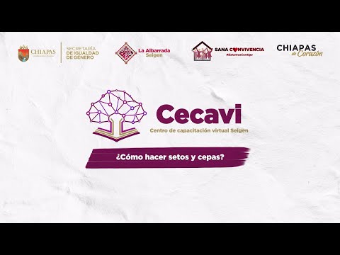 ¿Cómo hacer setos y cepas?