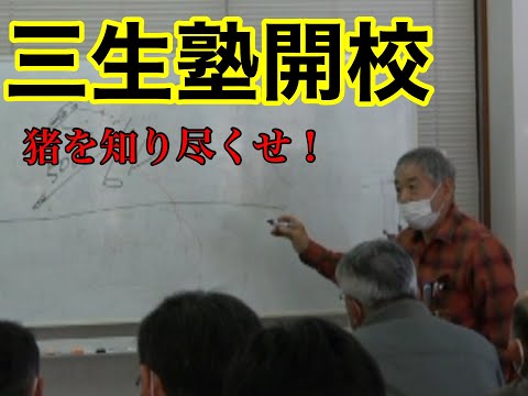 イノシシの定義