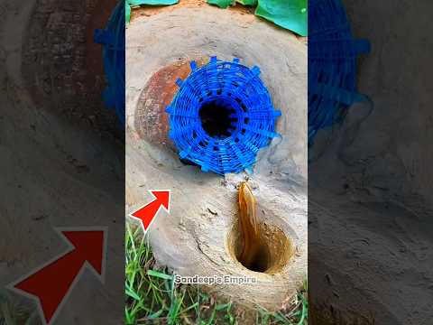 Survival Skills: SMART idea and USEFUL#bushcraft#camping#outdoors#survival