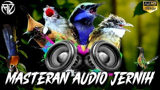 Download lagu 🔴JELASKAN AUDIO MASTER || CUCAK CUNGKOK || KATUN TEMBAK || Jenggot CUCAK || CIILIN mp3 Download lagu 🔴JELASKAN AUDIO MASTER || CUCAK CUNGKOK || KATUN TEMBAK || Jenggot CUCAK || CIILIN mp3