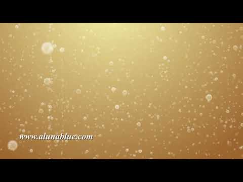 Champagne Bubbles 104 HD, 4K Stock Footage