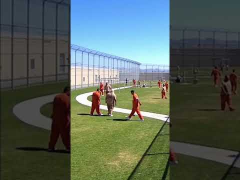 drone flies over prison yard and drops contraband into the prison and convicts move to it #jail