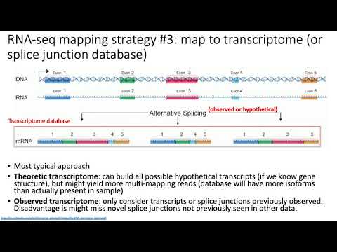 MCB 182 Lecture 9.3 - RNA-seq read mapping strategies
