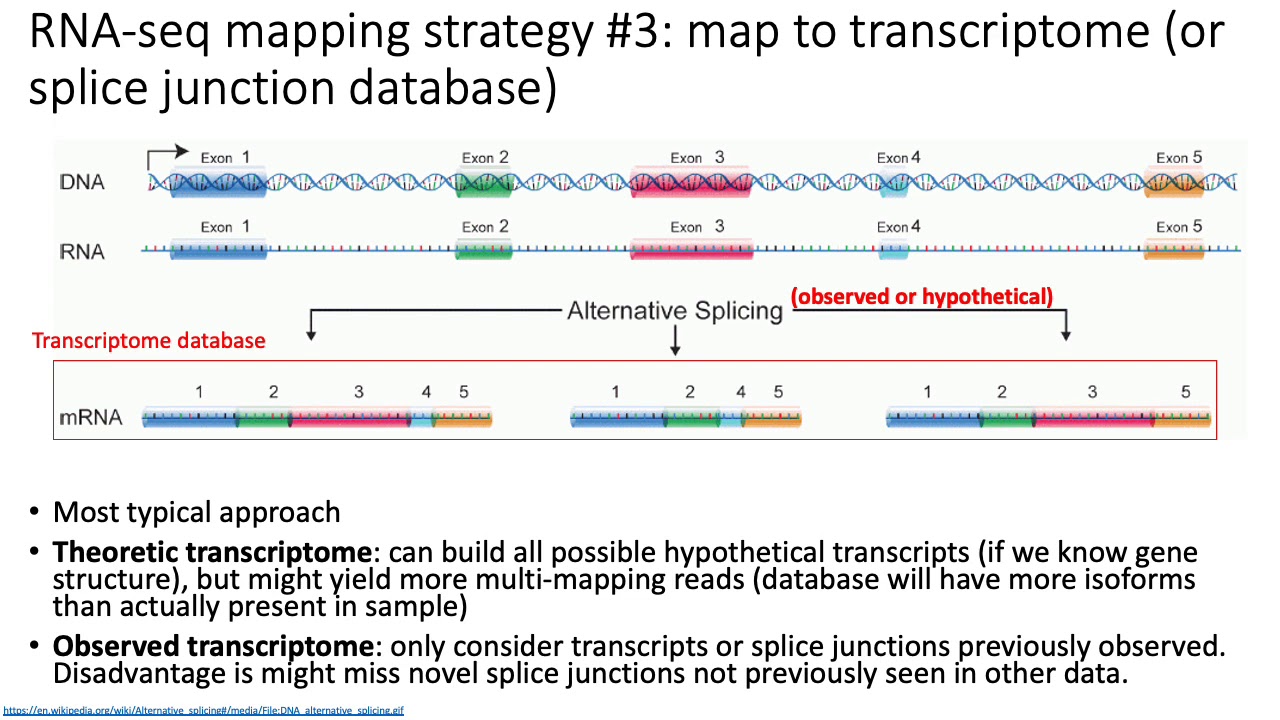 MCB 182 Lecture 9.3 - RNA-seq read mapping strategies