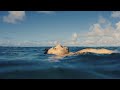 Jérémy Frerot Gamins Des Sables Visualizer