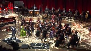 Homenaje a Gustavo Cerati: Sulky - Nico Rainone/Orquesta Hypnofón | La Ballena Azul
