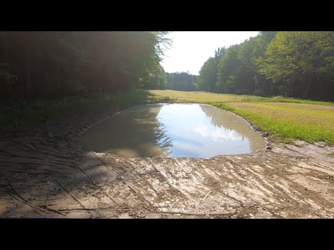 Building A Pond - Full In 4 Days!