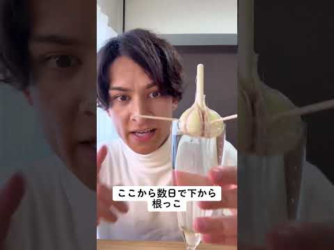 果樹の根元にニンニクを植えるのになぜ肥料が注入されるのか