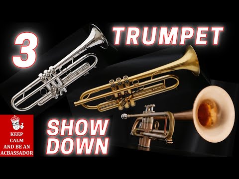 3-Trumpet Showdown: Adams A1v2, Edwards X13, and Thane Performance Series!