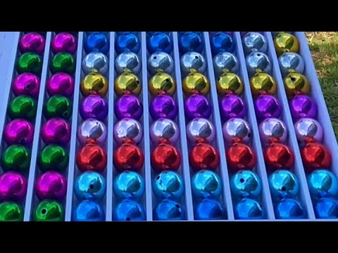 who is the winner sort game challenge IQ