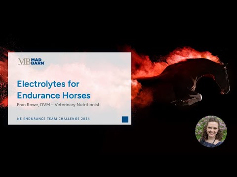 Electrolytes for Endurance Horses - Mad Barn - Performance Science