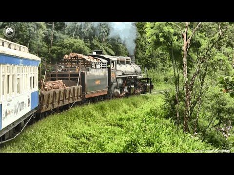 🇧🇷  Viagem de trem / Traveling by train - Morretes/PR a/to  Curitiba/PR - (Brasil)