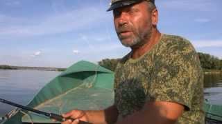 Сарфишер саратов отчеты о рыбалке