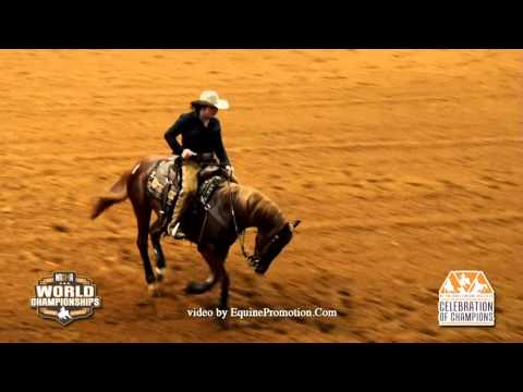 Poco Smart Oak ridden by Morgan Holmes  - 2016 Celebration of Champions (FINALS - NP Bridle)