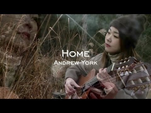 Home - Andrew York