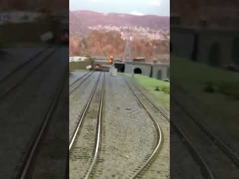 Lake Shore Limitada parte 6