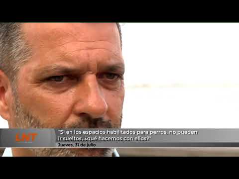 "Si en los espacios habilitados para perros, no pueden ir sueltos, ¿qué hacemos con ellos?"