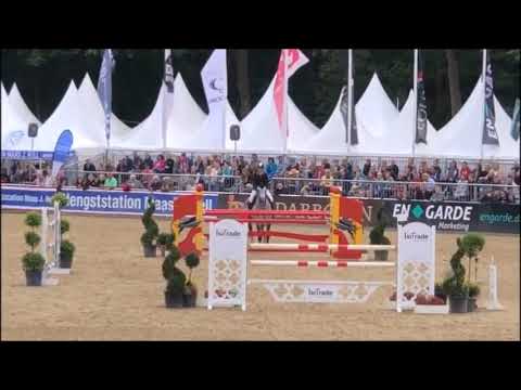 ALABA: stallion by Arpeggio, www.equine-evolution.com