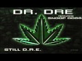 Dr. Dre - Still Dre feat. Snoop Dogg (Instrumental ...