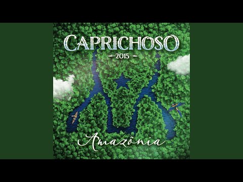 Amazônia, Nas Cores do Brasil