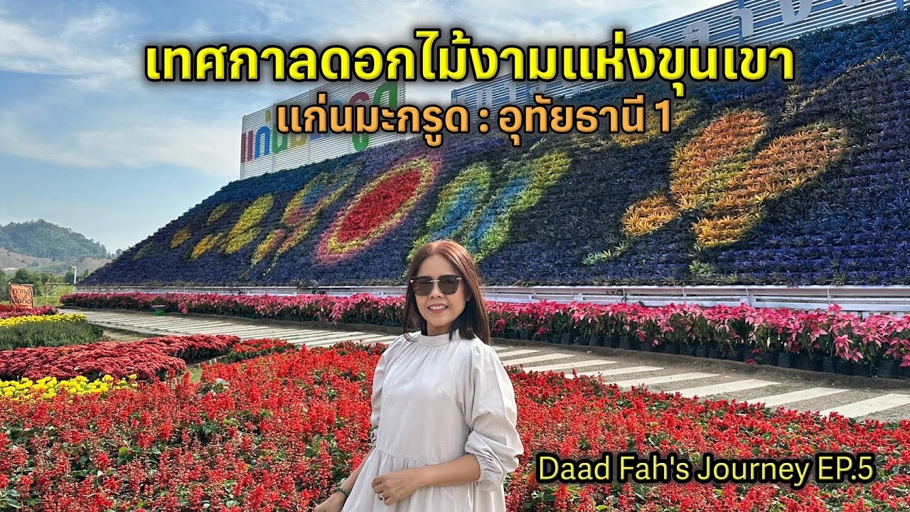 Kaen Makrut Tulip Fields