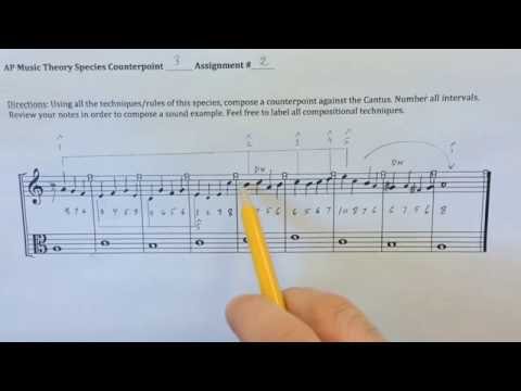 Music Theory: Species Counterpoint 3 Explained