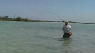 preview picture of video 'Fliegenfischen Saltwater DIY Flyfishing Fly Fishing Barracuda + Bonefish Flats'