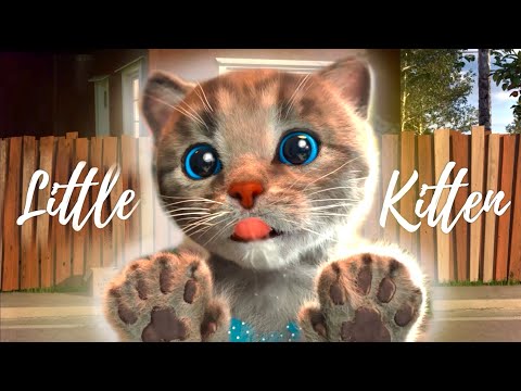 FUNNY CATS CUTE LITTLE KITTEN ADVENTURE - ANIMATED CARTOON FOR KIDS EDUCATIONAL ADVENTUROUS JOURNEY