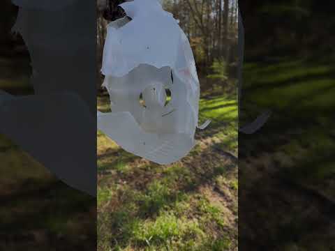 243 win or 270 win? #ytshorts #nra #shortsfeed #goviral #shortsvideo #viral #guns #boomstick #gun