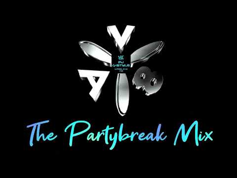 The Partybreak Mix